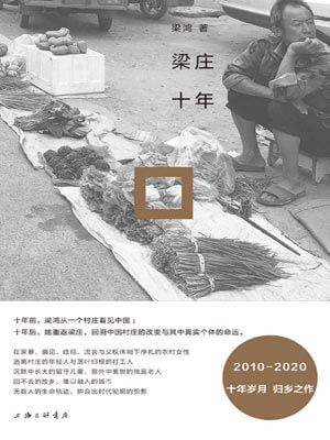 梁鸿,梁庄十年