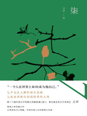 文珍,柒