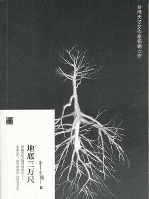 朱少麟,地底三万尺